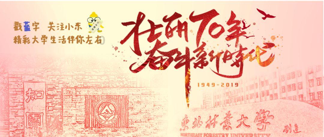 游戏开发者