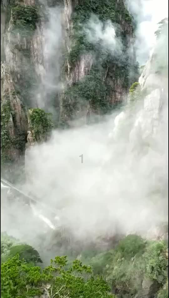 救援小犬立苏